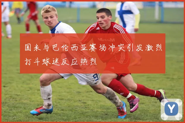 国米与巴伦西亚赛场冲突引发激烈打斗球迷反应热烈